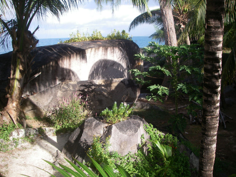 Terrace view to the garden