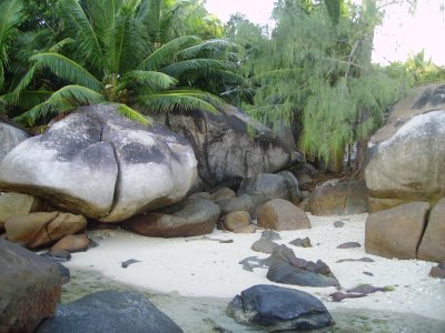 Ferienhaus Glacis-Der Hausstrand