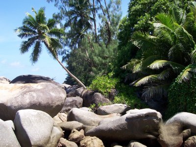 Ferienhaus Glacis -  Seychellen