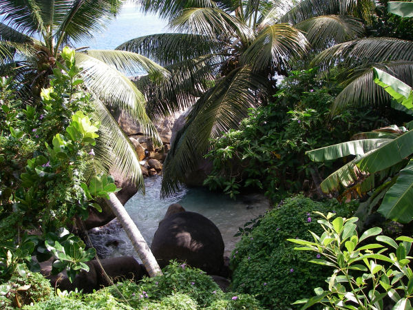 Dream beach Seychelles