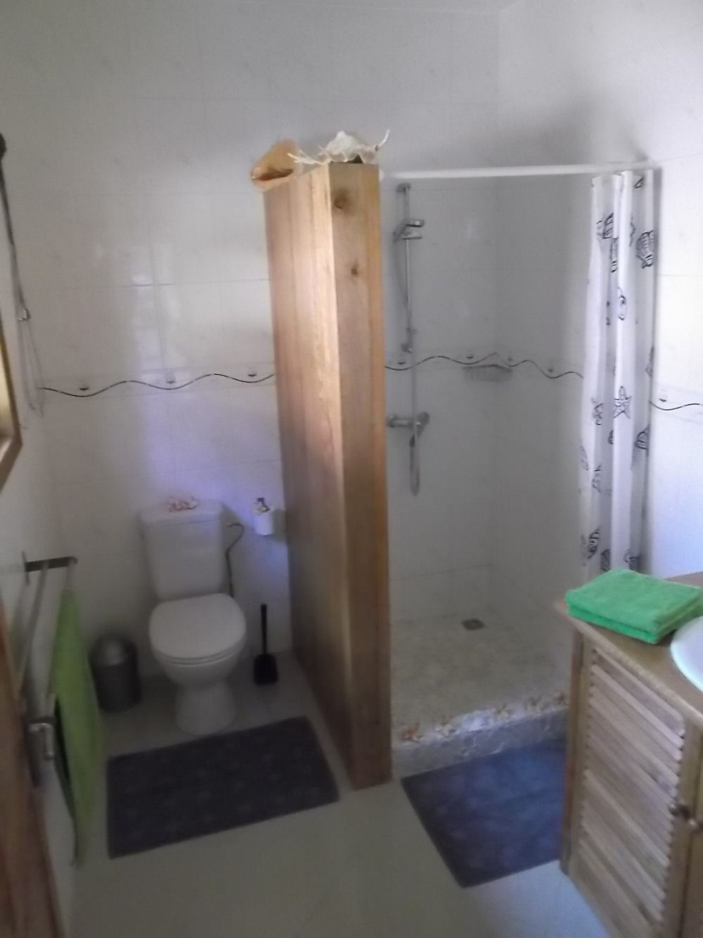 The small bathroom